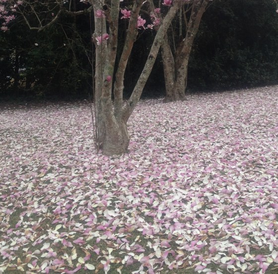 image via fromtheheartofj