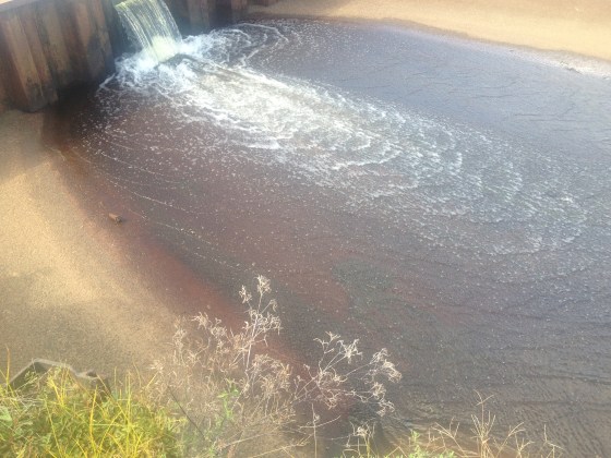 image via fromtheheartofj