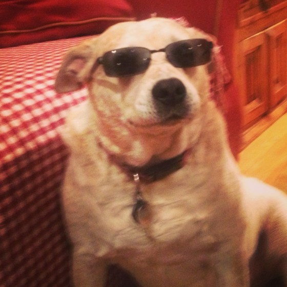 image via fromtheheartofj