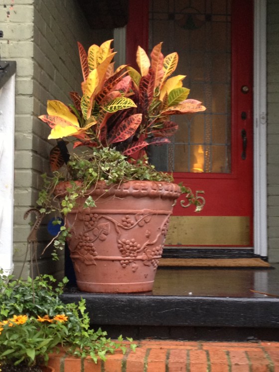 image via fromtheheartofj