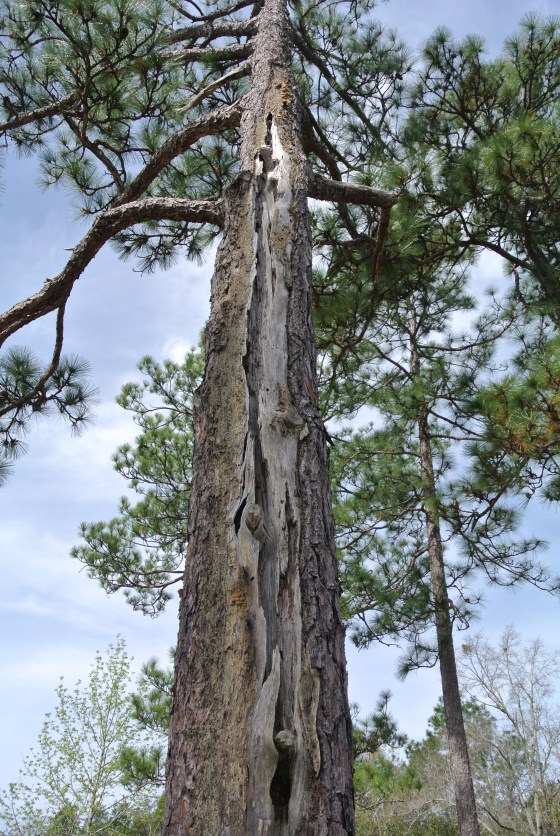 image via from the heart of j