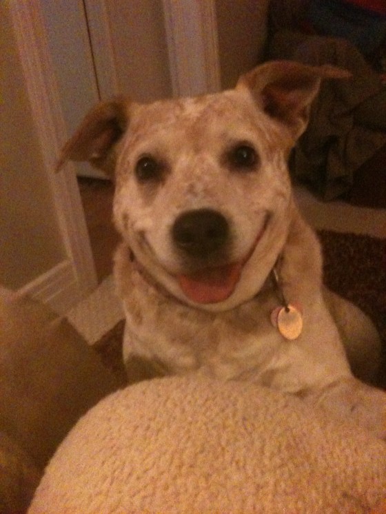 image via from the heart of j