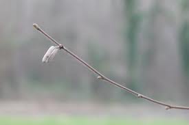 image via flickrhivemind.net