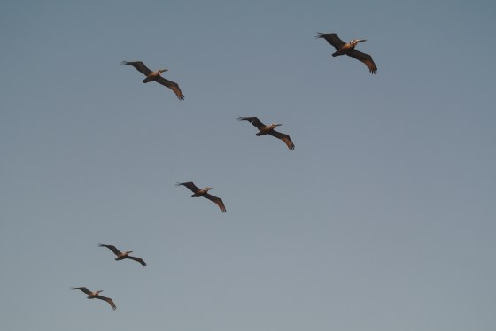 image via from the heart of j