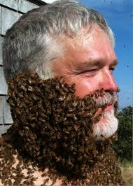 image via newsroom.ucr.edu