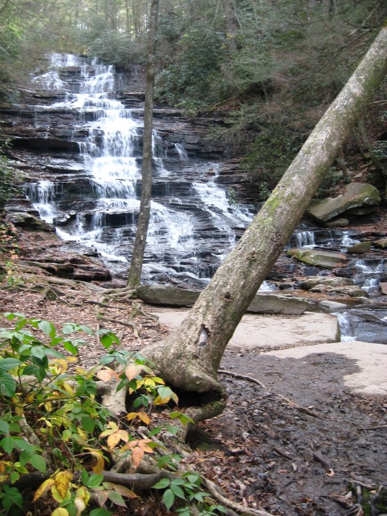 image via from the heart of j